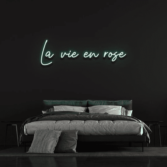 la vie en rose neon sign